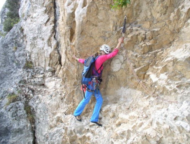  Aprenderás todos los movimientos 